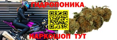 spice Обнинск